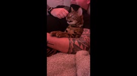 Back at it again with David Attenborough