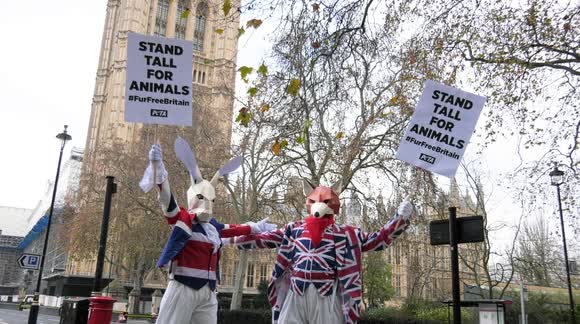 PeTA activists hold 'Fur Free Friday' protest in London