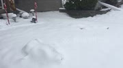 temp