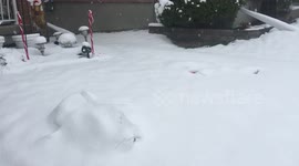 Hilarious video shows the quickest way to make a snowman