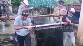 The residents hand over the sun bear, a protected wildlife to the Conservation Office