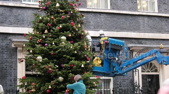 Cool timelapse footage shows Downing Street Christmas Tree being decorated
