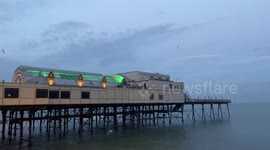 Noisy starlings in the morning. Aberystwyth, West Wales, UK