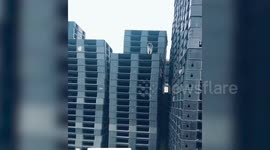 Spider-Cat Climbs Down Plastic Pallets