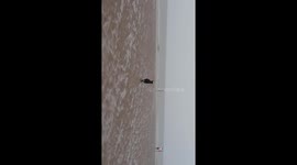 Today Young nudes in sea Blackpool south pier scared of rottweiler