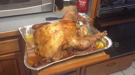 Thanksgiving Family Turkey Dinner Celebrations