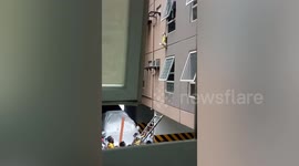 Dog clings to 30-foot-high ledge after falling through apartment's open window in Philippines