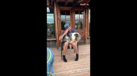 Doggy Trying to Sing With The Owner