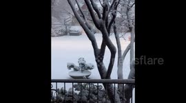 Impactful first major snow storm of the season hits Northeast Ohio