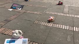 Toys protest against child abuse in Bogota, Colombia