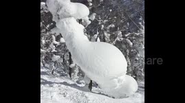 Japanese snow trap for snowboarders
