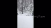 temp