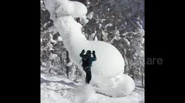 Snowboarder crashes into humongous mass of snow hanging off tree in Japan