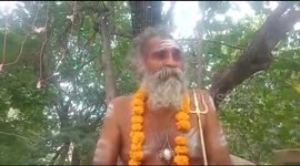 Hindu holy man sits on tree for 9 days to kill corona