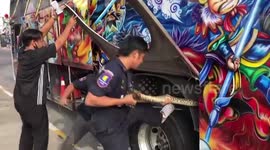 Python rescued from inside bus after clinging to engine