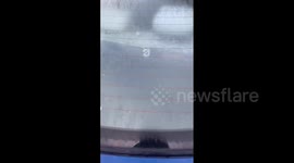 US: Alert For Freezing Weather And Gusty Wind In Florida