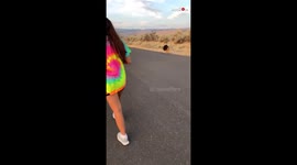 Bee Follows Girl After 6am Jog