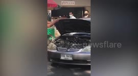 Brave policeman grapples with huge python found inside car engine