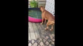 Fun Fact: Jack only enters the pool like this https://t.co/IhwrPyhb2M