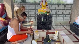 Amputee monkey has special bond with man who saved it from electrical accident