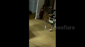 Terrifying clip shows toddler almost fall through bannisters into stairwell