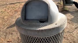 Squirrel jumps out of trashcan