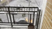 temp