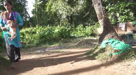 Animal lover tends to wild eagles in southern India