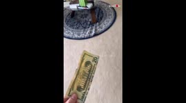 Selling Out His Sister In Front Of The Family With A Bet