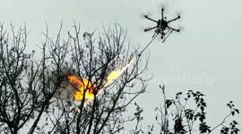 Flamethrowing drones are used to remove wasps nests in southern China