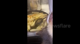 Dinner with a ferret in the style of the cartoon 