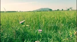 Impressions from the counryside