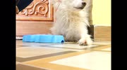 temp