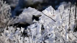 Freezing conditions sees icy phenomenon grip eastern China