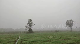 Video footage of Fogg