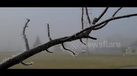 Freezing fog hits Michigan creating a stunning winter wonderland