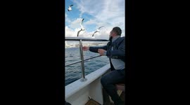 Beautifully, the man on the boat attracts a large number of seagulls.