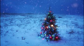 The Strangest and Most Surprising Christmas Tree (on the Beach)