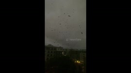 Hundreds of crows circle Ontario apartment complex for more than 14 hours in apocalyptic scene