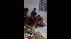 Dog Shows A Good Voice when singing with its owner