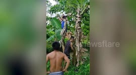 Filipino Youngsters Hang From Cables To Cross River