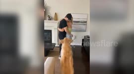 This hilarious compilation shows an adorable pup attempting to separate his owner from his girlfriend out of jealousy