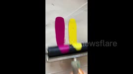 Talented Russian artists makes wildlife and popular characters out of linocuts