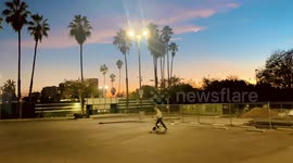 DOG SKATEBOARING IN FRONT OF A GORGEOUS CHRISTMAS LOS ANGELES SUNSET!