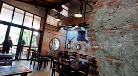 Wild monkey rampages through restaurant before playing dead when caught