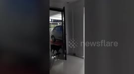 Owner Regrets Trying To Hide From Dog When It Slams Door In His Face