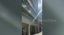 Wild Monkeys Climb Along Apartment Building In Singapore