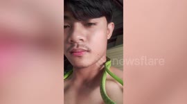 Snake Forms Necklace Around Owner's Neck