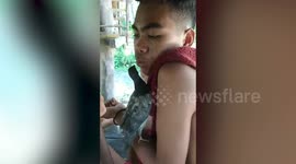 Lovey-dovey! Man feeds pet bird seeds from his own mouth