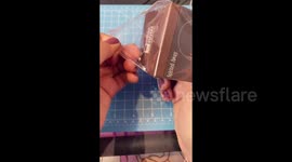 Miniatuart kit of Spirited away